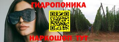 индика Конаково