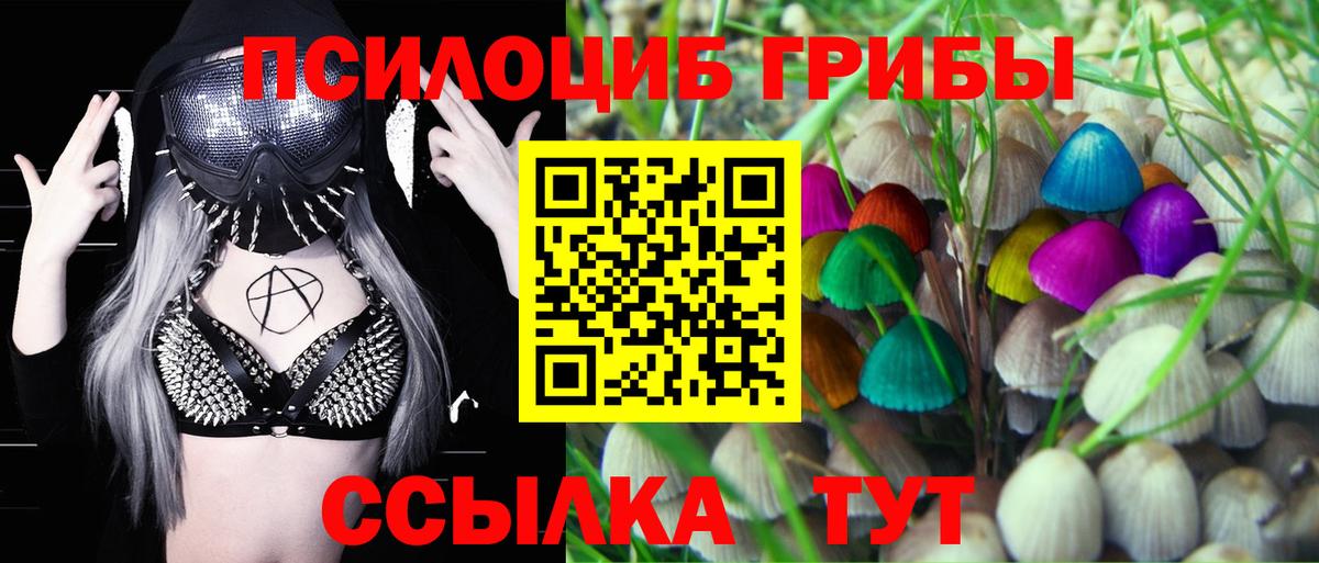 Псилоцибиновые грибы ЛСД Конаково